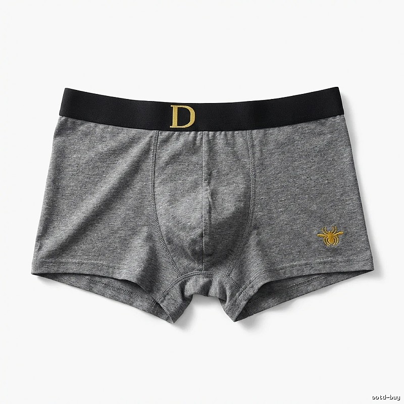 Dior minimalist style grey underwear