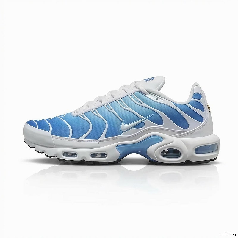Nike Air Max 95 Gradient Blue Trendy Shoes
